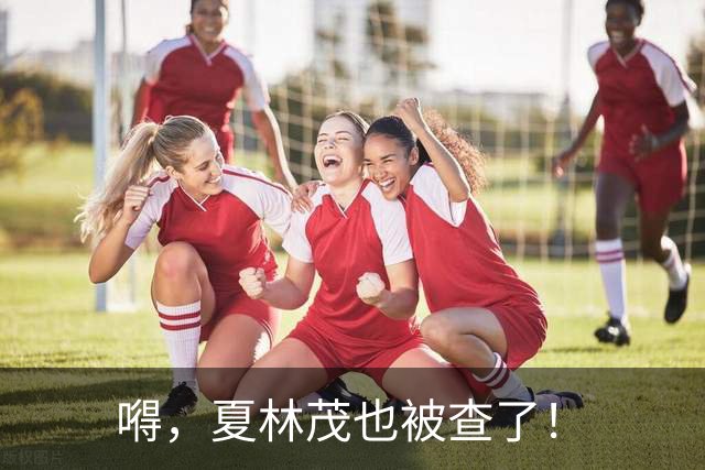 嘚，夏林茂也被查了！