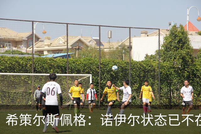希策尔斯佩格：诺伊尔状态已不在巅峰，乌尔比希该接班