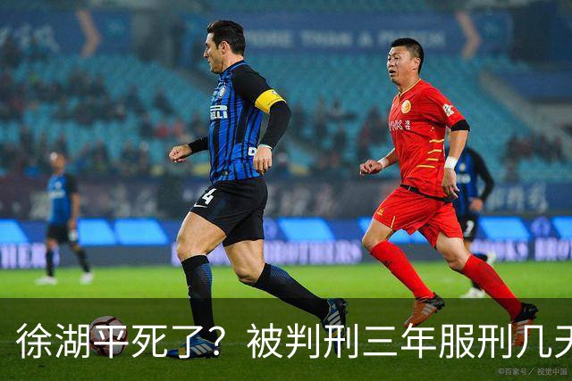 徐湖平死了？被判刑三年服刑几天？南京博物馆藏画被售卖一事是否就此一死了之？