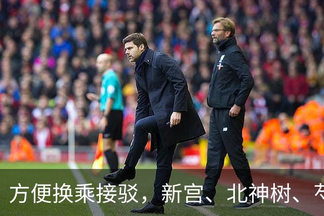 方便换乘接驳，新宫、北神树、芍药居等地铁站拟新开微循环公交