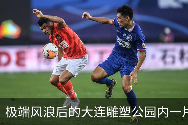极端风浪后的大连雕塑公园内一片狼藉！维修方案正在审批中