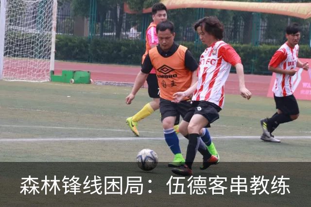森林锋线困局：伍德客串教练