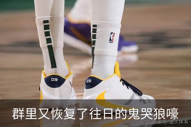 群里又恢复了往日的鬼哭狼嚎