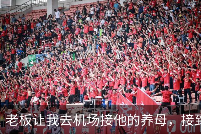 老板让我去机场接他的养母，接到人后我愣了，那是我离家多年的妈