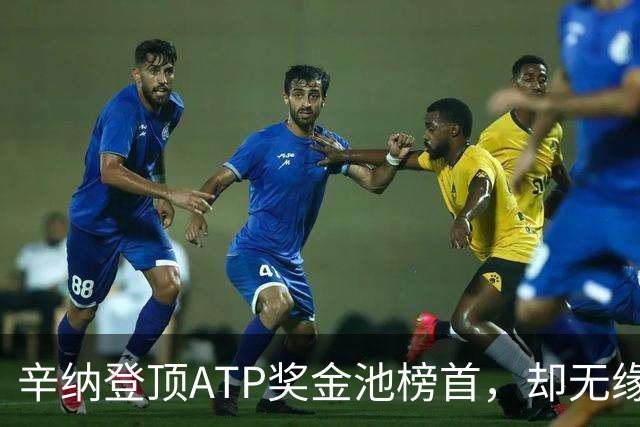 辛纳登顶ATP奖金池榜首，却无缘450万美元巨额奖励
