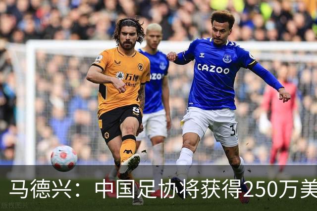 马德兴：中国足协将获得250万美元用于备战女足世界杯