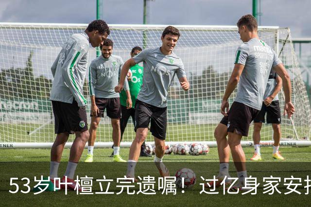 53岁叶檀立完遗嘱！过亿身家安排妥了，最难一栏却空着！